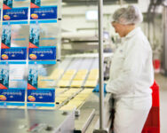 Norwegia praca bez znajomości języka pakowanie sera od zaraz dla par Stavanger