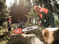 Norwegia praca sezonowa w leśnictwie dla drwali-pilarzy od zaraz, Bergen 2022