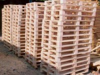Praca w Norwegii dla montera palet drewnianych – produkcja