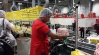 Pakowanie, produkcja słodyczy oferta pracy w Norwegii dla par Oslo