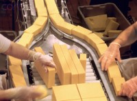 Pakowanie-produkcja sera praca Norwegia bez znajomości języka Oslo 04.2014