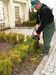 Dam sezonową pracę w Norwegii ogrodnik przy pielęgnacji zieleni Stavanger