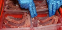 Oferta pracy w Norwegii pakowanie mięsa bez znajomości języka Stavanger