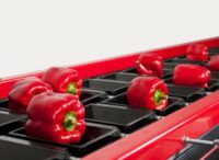 Dam pracę w Norwegii bez języka przy pakowaniu warzyw od zaraz Moss 2019 Dam pracę w Norwegii bez języka przy pakowaniu warzyw od zaraz Moss 2019