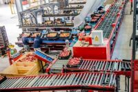 Sortowanie owoców od zaraz dam pracę w Norwegii dla par bez języka w Bergen