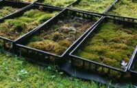 Zbiory mchu od zaraz dam sezonową pracę w Norwegii bez języka, Bergen