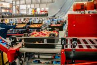 Bez języka dla par dam pracę w Norwegii od zaraz sortowanie warzyw w Bergen 2026