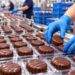 ciastka czekoladowe Norwegia produkcja pakowanie